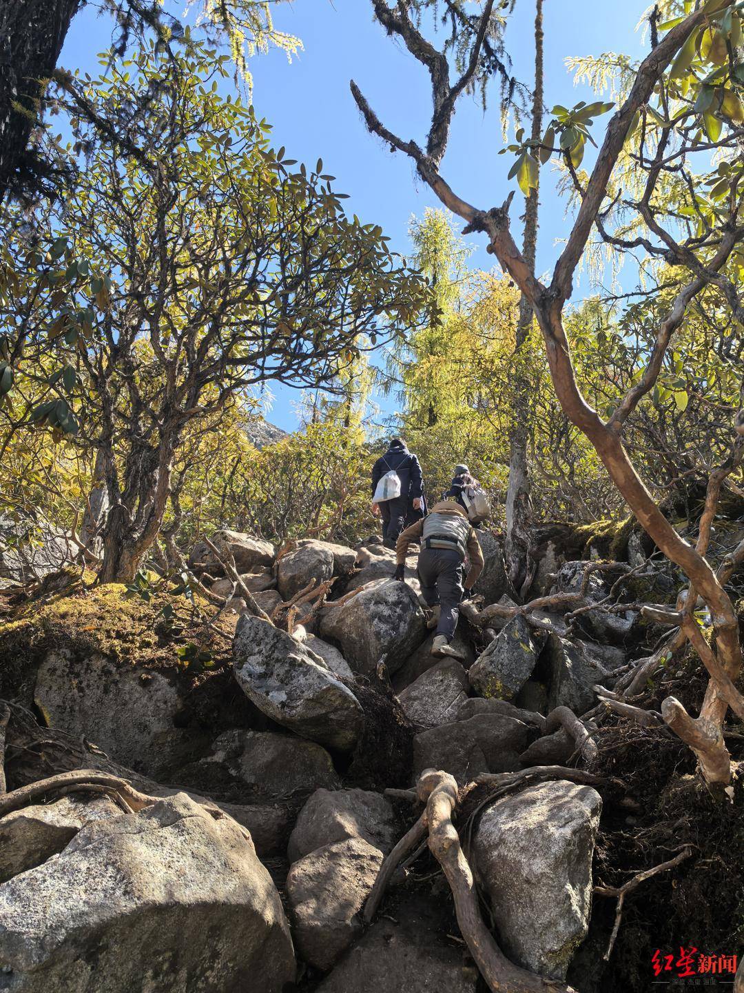 川西登山徒步乱象调查①丨重走党岭高反女孩徒步路线:山高路险!有团队未带食物<strong></p>
<p>正荣股票</strong>,报警多是迷路