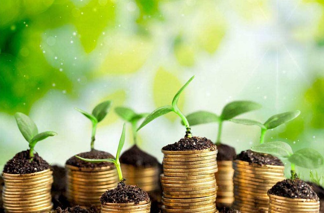 绿色证券(绿色证券投资基金)
