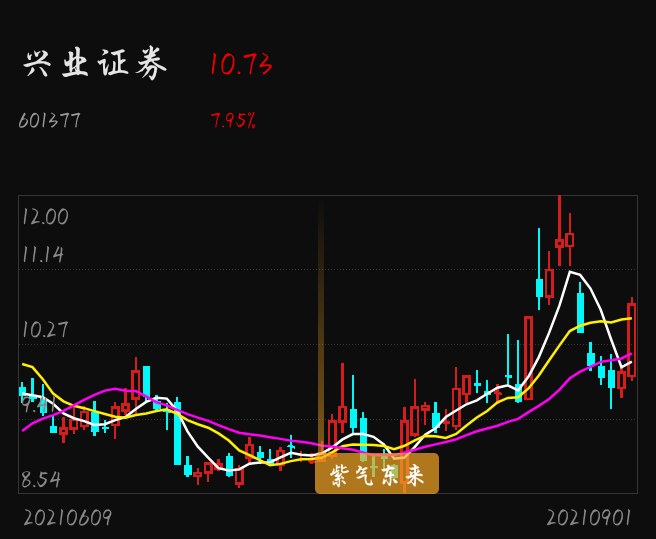 兴业证券股(兴业证券股东)