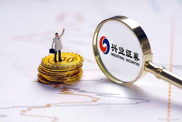 质押证券(质押证券处置)