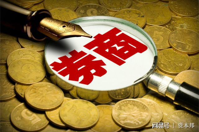 质押证券(质押证券处置)