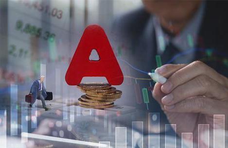 证券公司资产(证券公司资产管理计划)