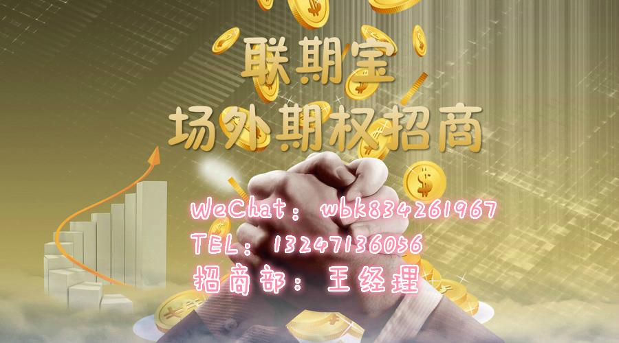期权与证券(期权证券投资理财)
